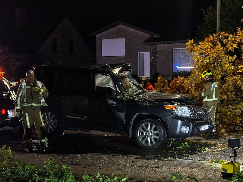 Boom op auto in Booischot