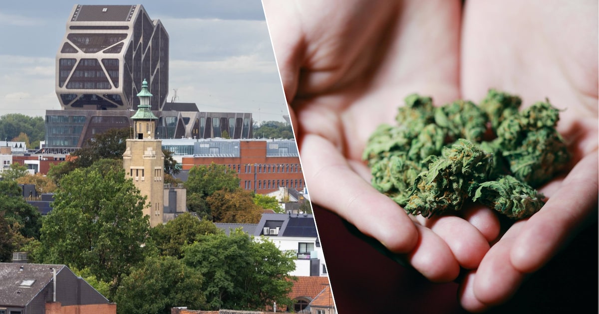 “Dat waren dure joints, hé”: man opnieuw veroordeeld voor drugs achter het stuur