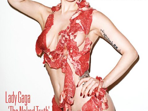 Gaga werkte eerder met Terry Richardson samen voor een fotoboek met deze cover.