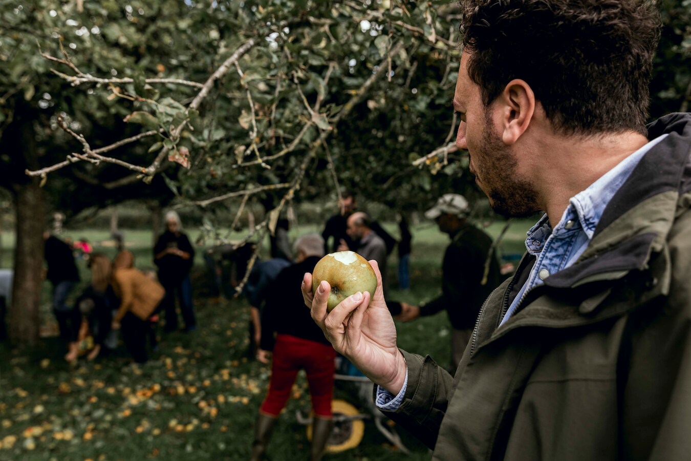 Appelfeest in boomgaard De Boesdaalhoeve | Foto | hln.be