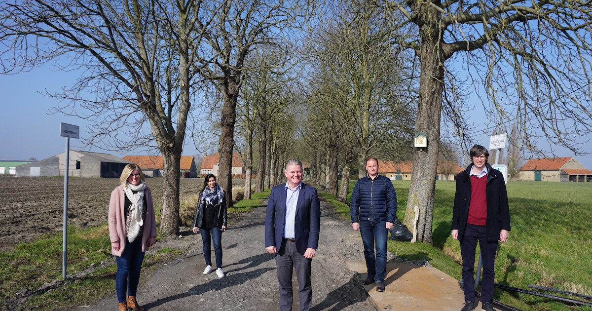 Oudenburg brengt waardevolle en historische bomen en hagen in kaart, en ...