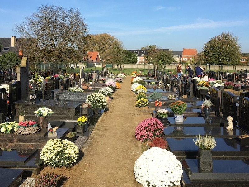 De gemeentelijke begraafplaats in Herenthout.