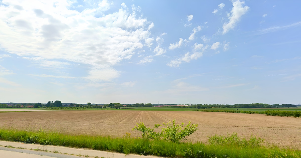 Speelde de hitte een rol? Poolse gastarbeider (50) overlijdt tijdens werk op veld in Zonnebeke