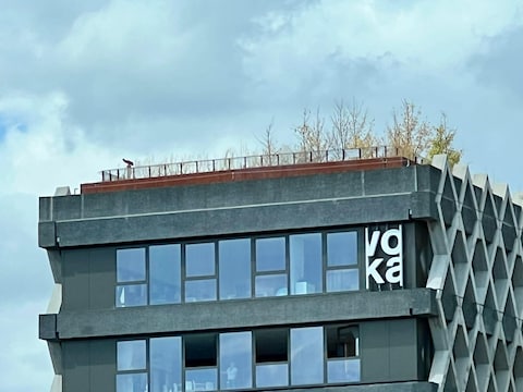 Het gaat zichtbaar slecht met de bomen op parking Keerdok.