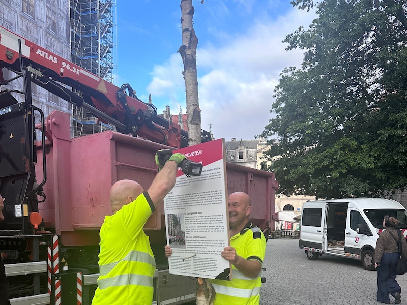 Meyboom op Grote Markt in Leuven staat alweer recht na botsing met vuilniswagen: “Meter korter, maar hij staat er!”