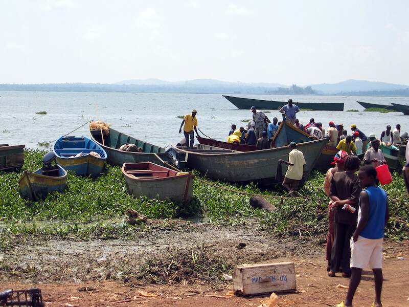 Aan Lake Victoria gonst het van de bedrijvigheid.
