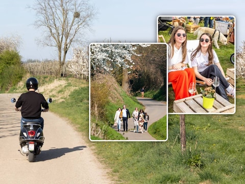 De Limburgse streek Haspengouw biedt veel moois tijdens de zomervakantie.