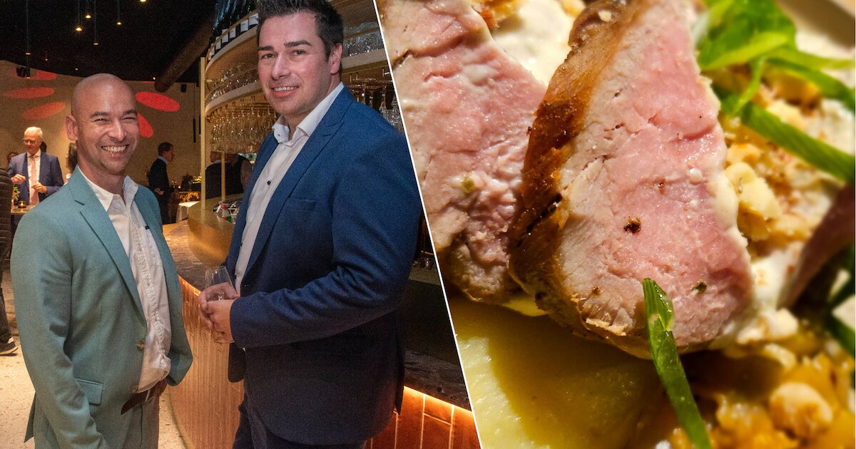 RESTOTIP. Basile in Merelbeke: “Lunch met dagverse producten in ...