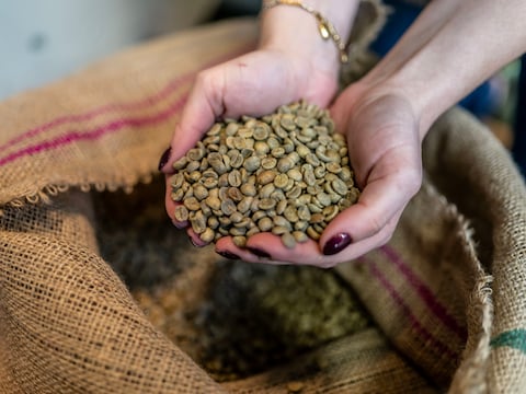 Gratis koffieproeverij met verhaal: ontdek de smaken van Fair Trade in Herenthout op 5 oktober