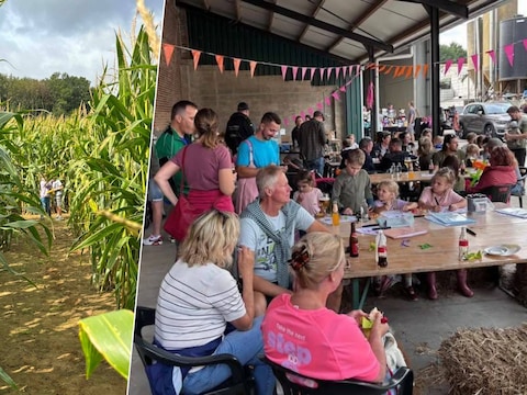 Zo’n 245 wandelaars trokken zondag naar Hof te Kattem in Roosdaal, waar vooral het maïsdoolhof en de kinderanimatie voor heel wat plezier zorgden.