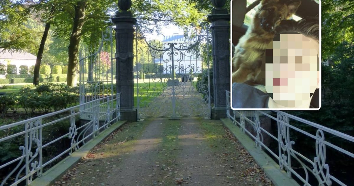 Stuurde petekind (28) overvallers af op IT-miljonair in Schilde? “Werk mee of we vermoorden uw zoon”