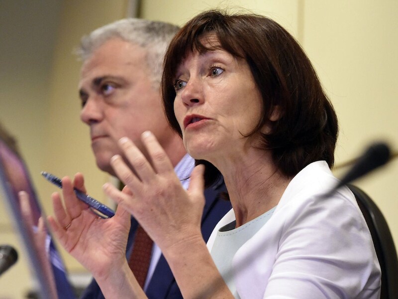 Laurette Onkelinx in het kader van de strijd tegen het ebola-virus op de commissie voor Welzijn en Volksgezondheid in de Kamer.