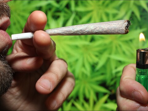 In 2013 werd in ons land 14.882 kilo cannabis in beslag genomen.