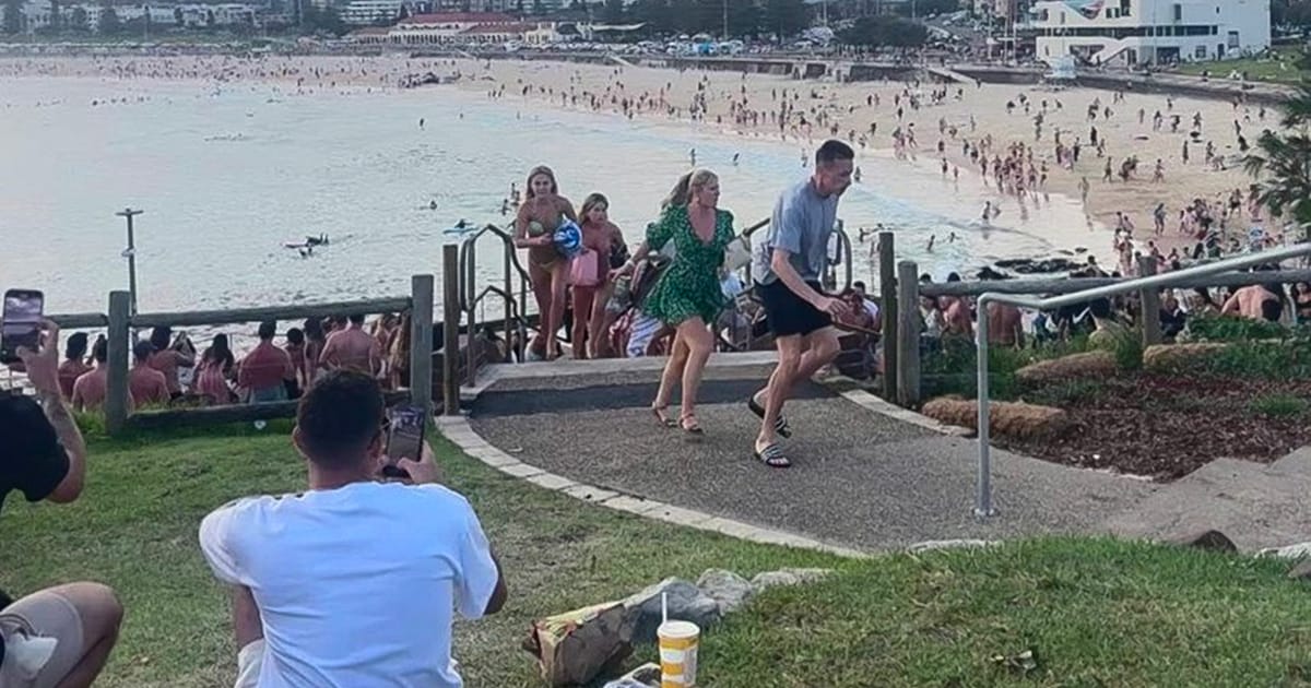 Bloedbad Bondi Beach begon met moord op vrouw vanuit witte auto: “Leek er echt op dat ze mensen wild