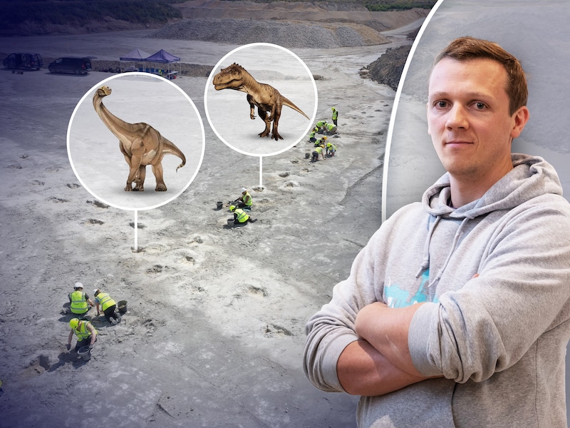 In het Britse Oxfordshire werd een “snelweg” van dinosporen ontdekt. Paleontoloog Koen Stein (VUB) legt uit waarom dat zo bijzonder is.