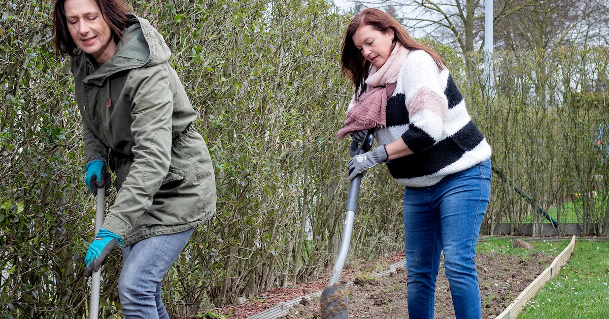 Stappenplan naar je eigen moestuin: “Eerst spitten, dan dromen” | De ...