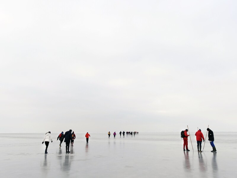 Een wadlooptocht over de bevroren Waddenzee