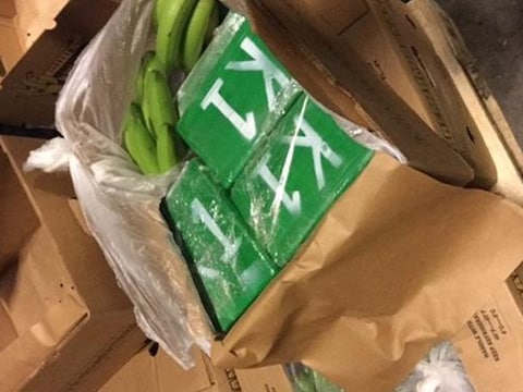 De cocaïne zat verstopt in een lading bananen, afkomstig uit de haven van Antwerpen.