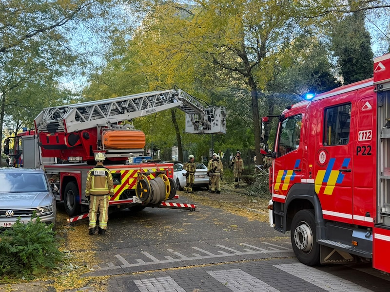 Stormschade op de Basilieklaan in Koekelberg