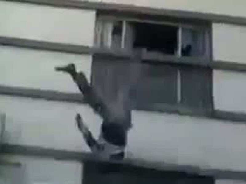 In één van de filmpjes wordt getoond hoe rebellen de lijken van overheidspersoneel van het dak van een gebouw gooien.