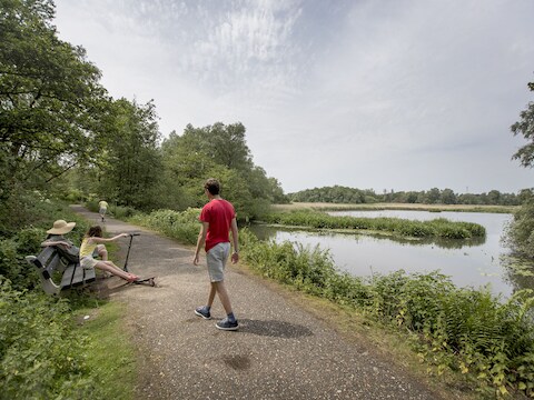 Het Molsbroek in Lokeren.