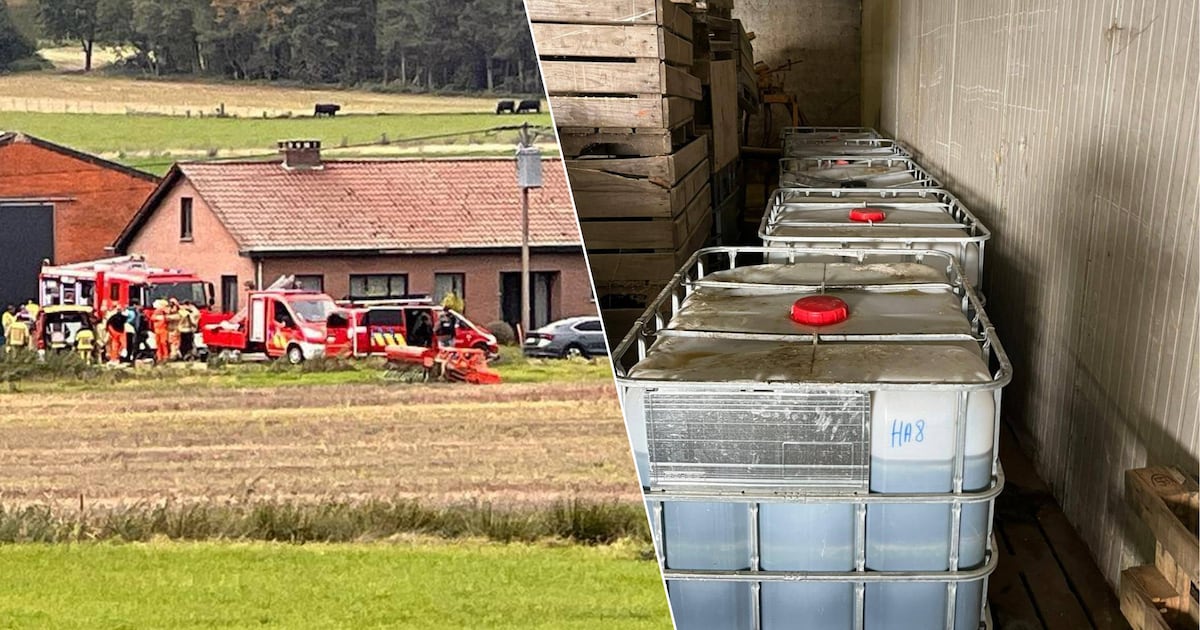 Drugsbende riskeert tot 7 jaar cel na ontdekking drugslabo’s én 900 verwaarloosde varkens: “Vele die