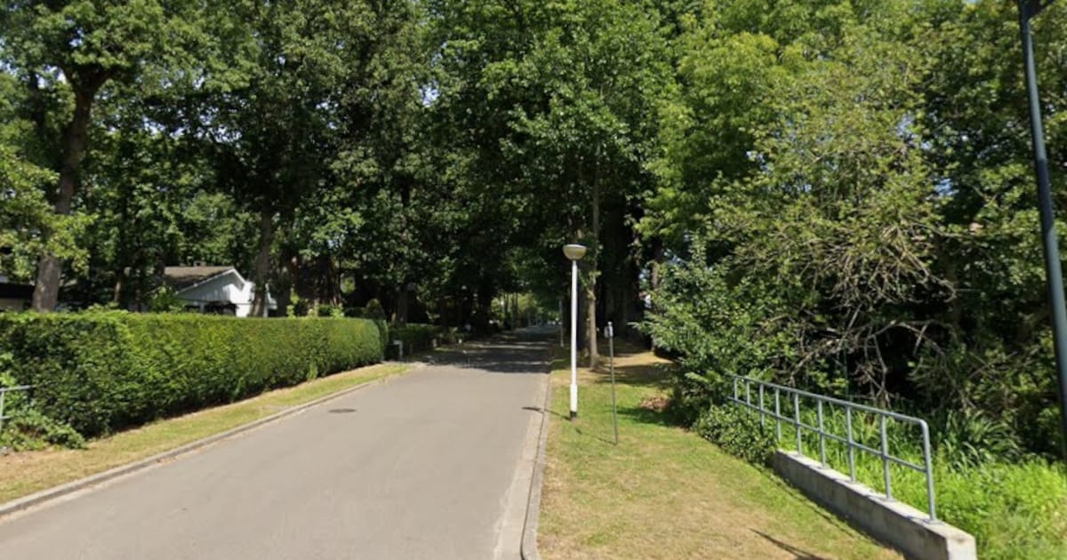 Inbrekers gooien ramen in: dader vlucht weg met fiets