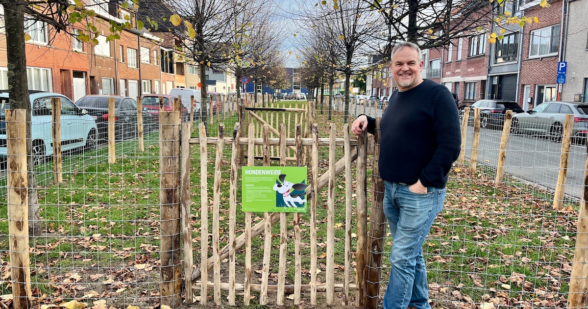 Hondenweide geopend in Hanswijkdries: “De vijftiende al”