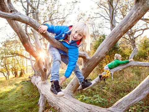 Illustratiebeeld - Tijdens de gratis speurtocht trekken kinderen tussen 2 en 7 jaar samen met hun (groot)ouders op avontuur door het park van Schilde.