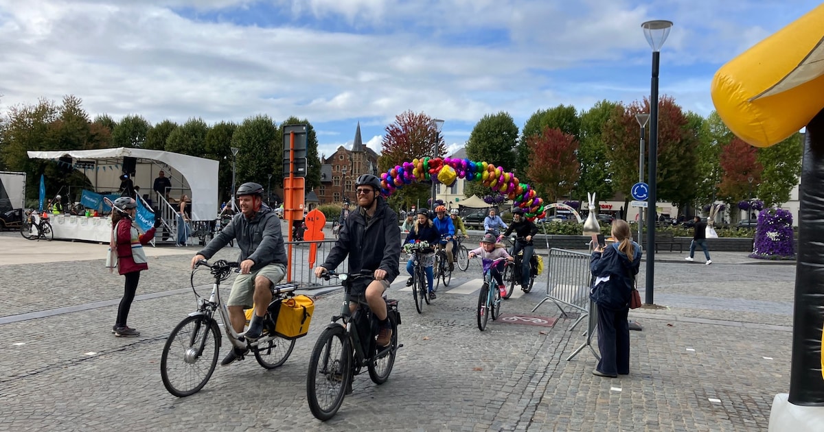 Fietsersbond neemt bijna 200 Lokerse straten onder de loep: deze wijken scoren het best en slechtst 