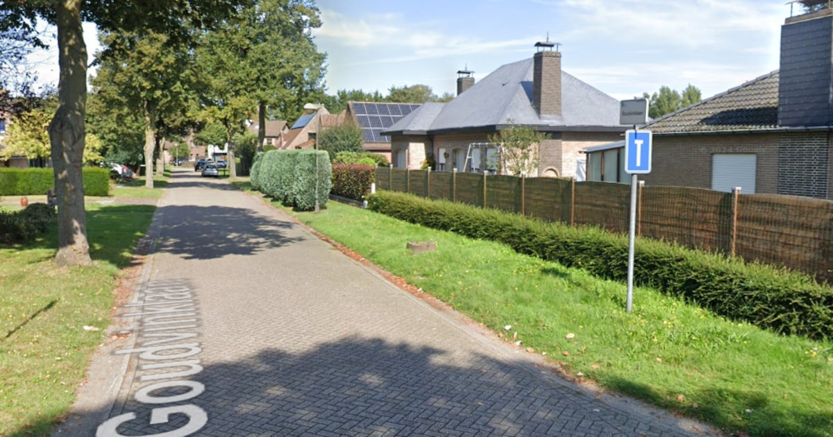 Inbrekers slaan op de vlucht na alarm in woning in Zwijndrecht
