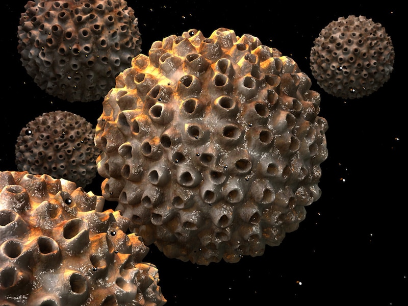 Het humaan papillomavirus.