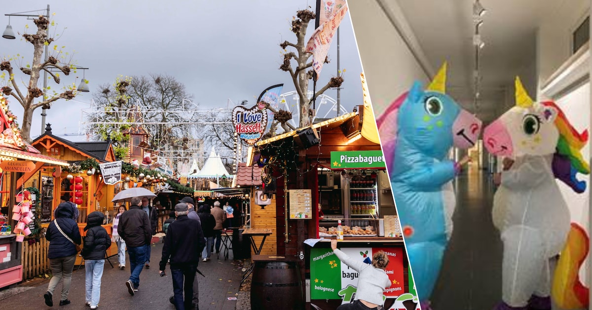 Karaoke met unicorn-battle kleurt Winterland Hasselt op 18 november