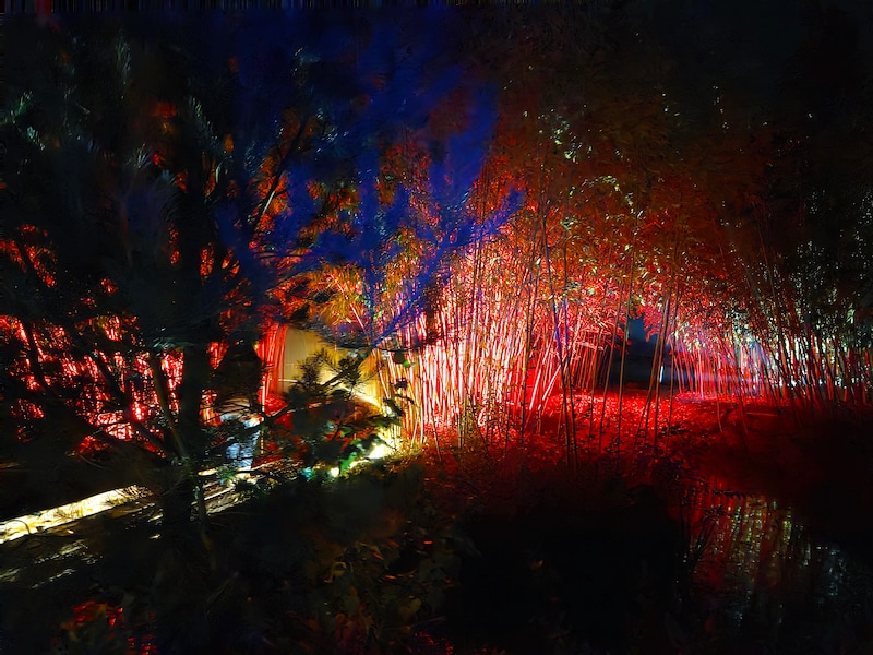Plantentuin by Night in Merksplas.