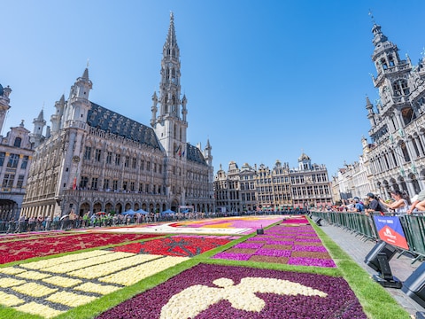 Vandaag is de laatste kans om de 750.000 dahlia’s te bewonderen