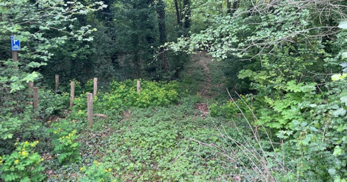 Wie helpt er mee om deze, heel bijzondere groeve schoon te maken?