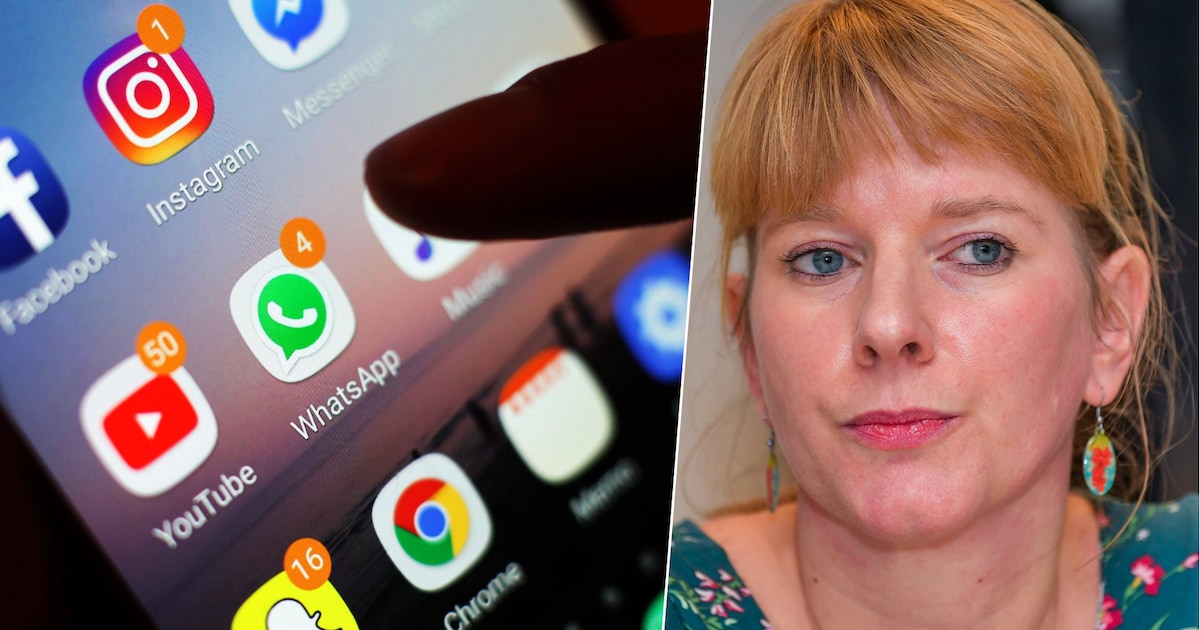 Pluspapa (32) wordt gevat als inbreker, maar dan vindt politie naaktfoto’s van plusdochter (8): “Er 