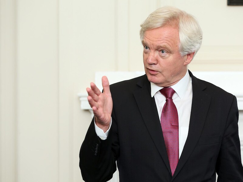 David Davis is bevoegd voor de Brexit