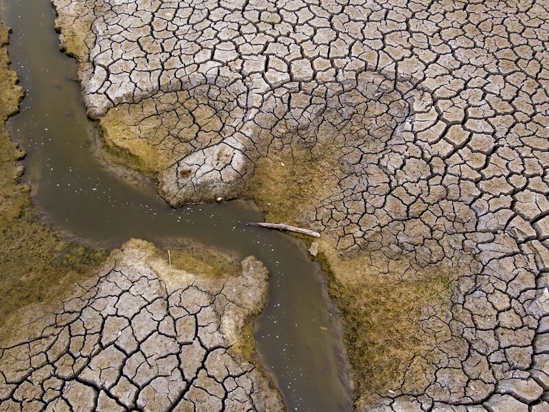 Oud Heverlee, Vlaanderen zucht onder een historische droogte