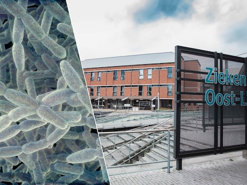 Legionella aangetroffen op kinderafdeling Ziekenhuis Oost-Limburg in Genk: “Waterpunt meteen afgesloten”