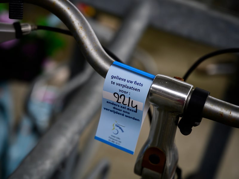 Weesfietsen aan station Zottegem krijgen nieuw leven