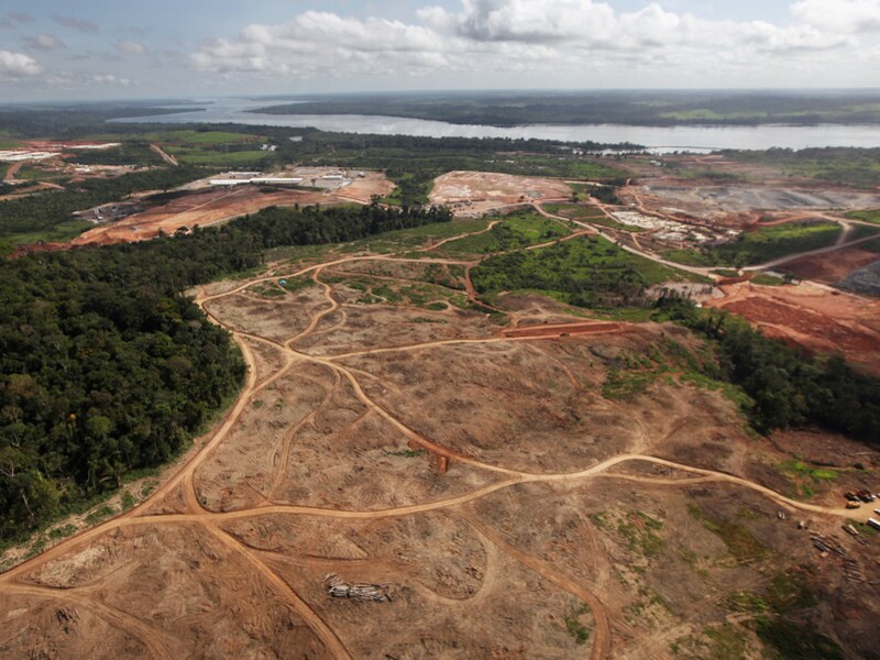 Ontbossing, hier in Brazilië, is in grote delen van Zuid-Amerika een probleem.