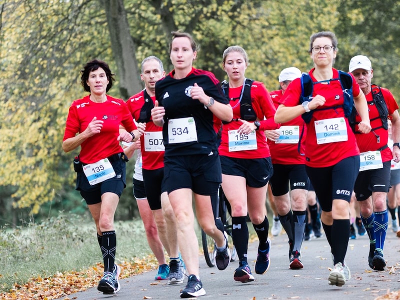 Deelnemers aan de Wase Marathon kunnen kiezen uit vijf afstanden