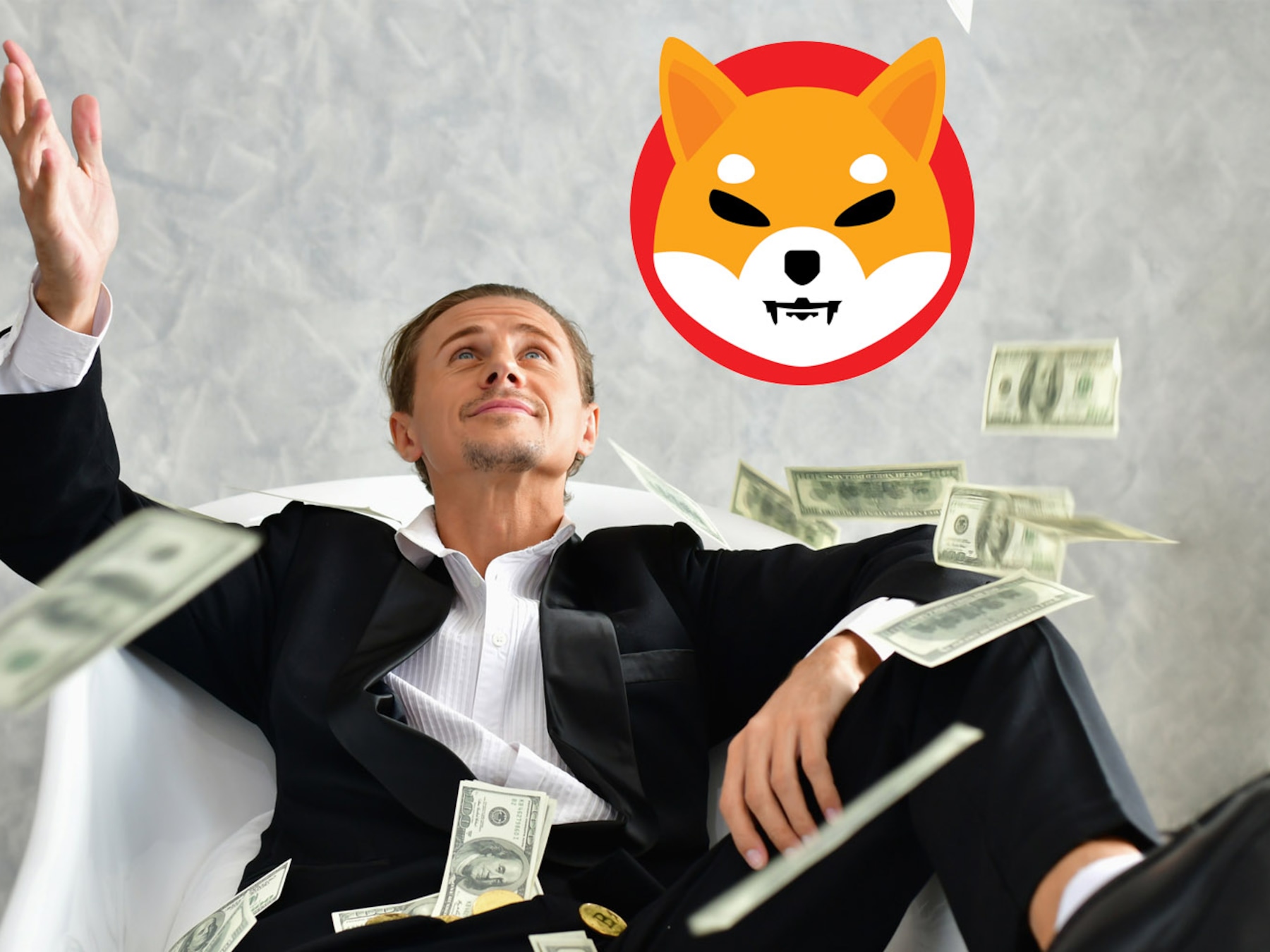 Cryptomunt Shiba Inu 28 miljoen procent hoger in één jaar. Hoe valt die  waanzinnige stijging te verklaren? | Mijn Geld | HLN.be