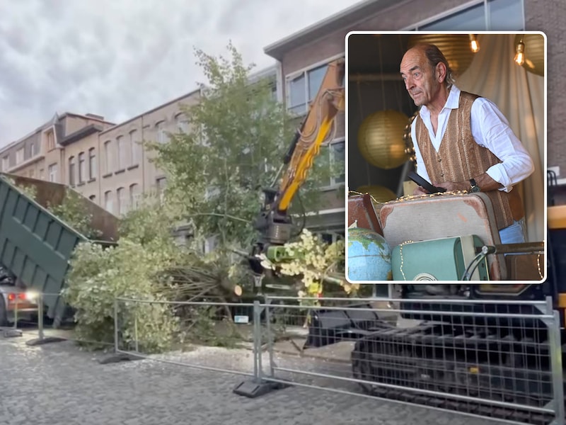 “Roekeloos bomen kappen moet écht stoppen”: Arnold ‘Papa Mojito’ Peeters over ontslag uit Berchemse meerderheid na bomenkap Junostraat