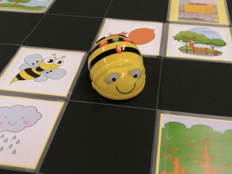 Leer programmeren met de bee-bots