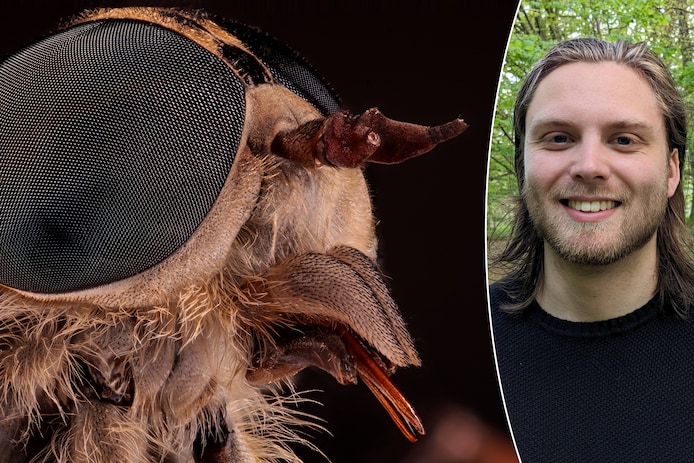 hij-heeft-geen-angel-maar-een-snuit-gevuld-met-mesjes-de-beet-van