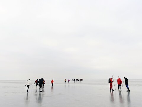 Een wadlooptocht over de bevroren Waddenzee