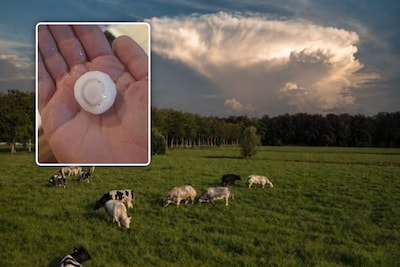 Nieuw hevig onweer trekt van Vlaamse Ardennen naar het centrum van het land en Limburg: dikke hagelbollen in Pajottenland