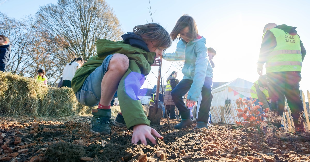 IN BEELD. Leerlingen planten 625 bomen in Caputsteenpark: “Binnen twee jaar zie je hier al een echt 